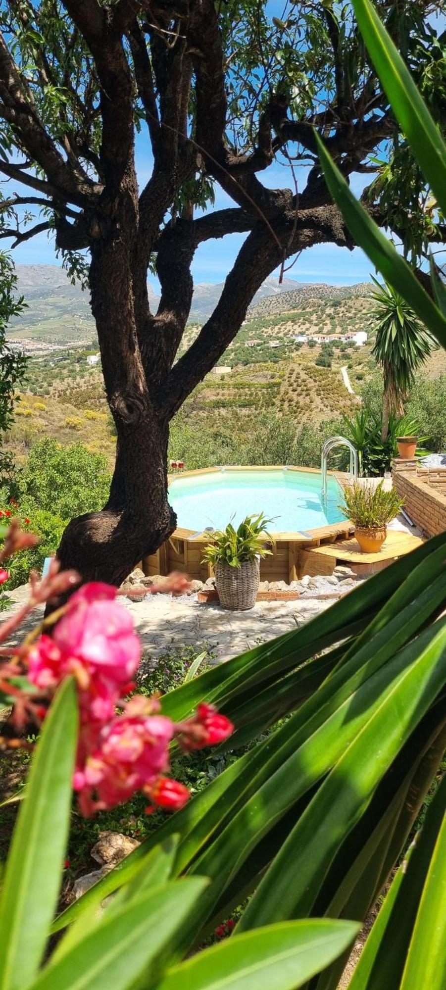 La Vista Vinuela Bed & Breakfast Exterior photo
