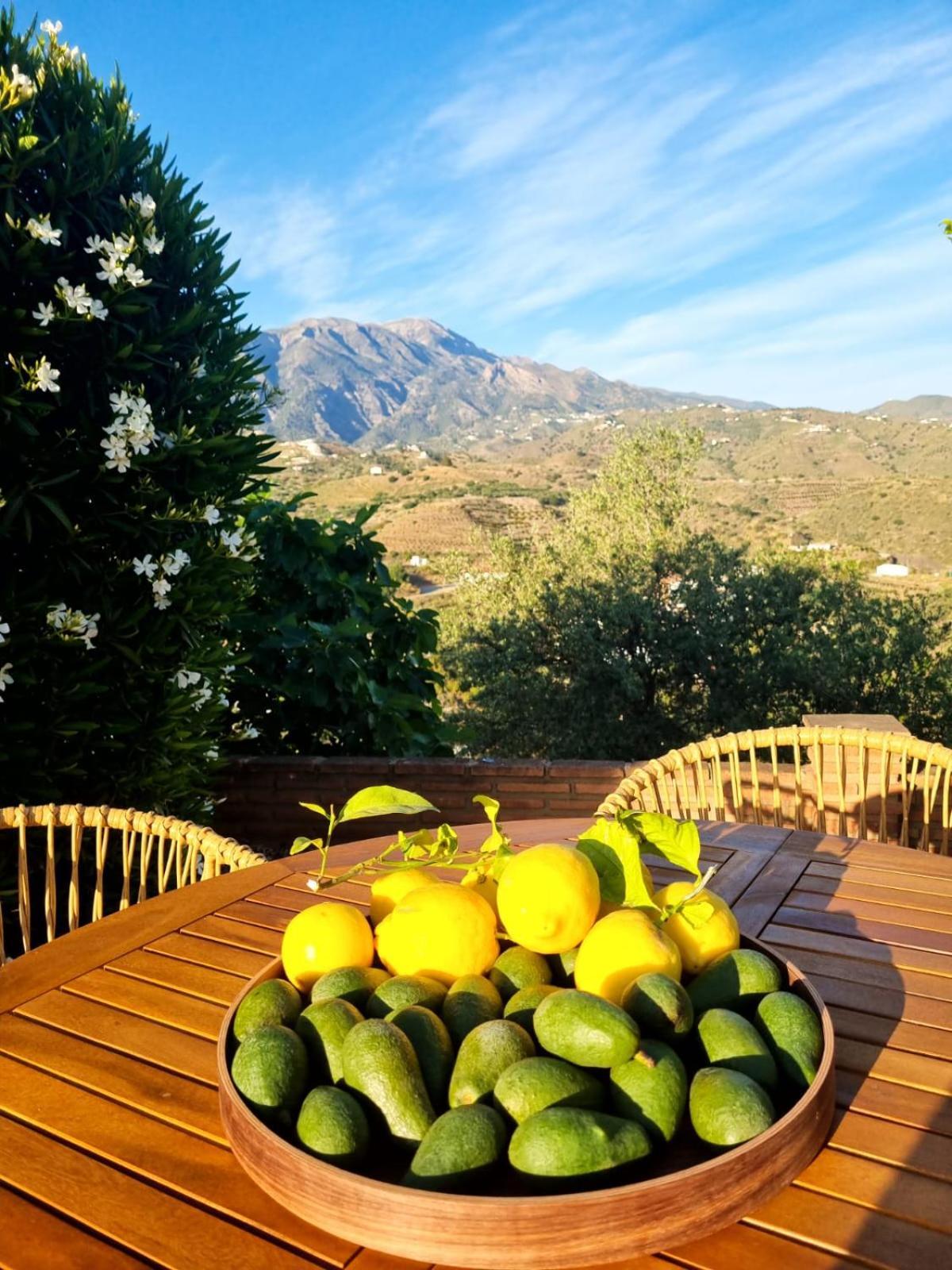 La Vista Vinuela Bed & Breakfast Exterior photo
